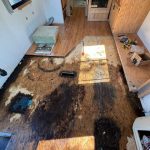 Remove flooring carpet in RV after water damage