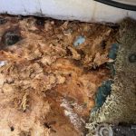 Remove insulation in RV after water damage