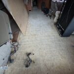 Floor vinyl panels install in RV 4