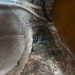 Damaged floor