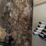 water damage repair in RV toilet