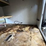 floor replacement after water damage in travel trailer 5