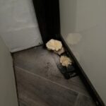 water damaged flooring in travel trailer