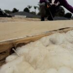 40 ft Trailer Roof Restoration After Water Damage California