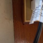 Boat Water Pressure Pump Replacement