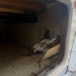 before Travel Trailer Water Damage Repair