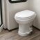 Will a regular toilet seat fit an rv toilet?