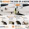 how-to-repair-the-side-of-a-motorhome-custom-way-650px